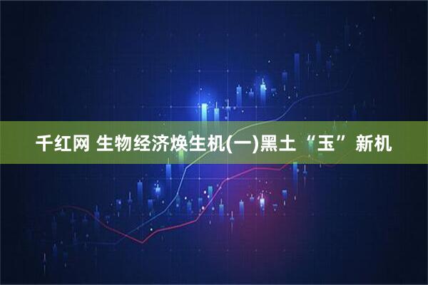 千红网 生物经济焕生机(一)黑土 “玉” 新机
