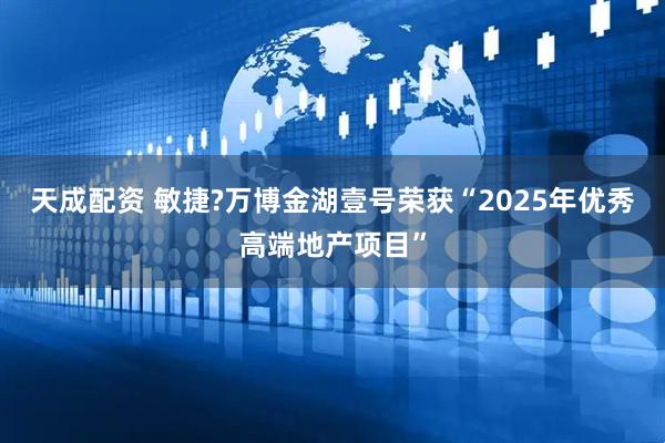 天成配资 敏捷?万博金湖壹号荣获“2025年优秀高端地产项目”