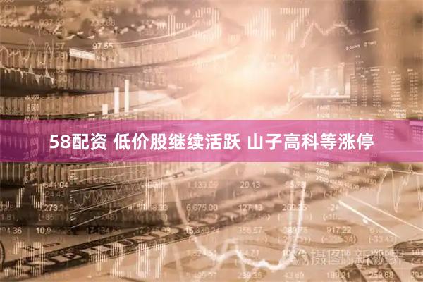 58配资 低价股继续活跃 山子高科等涨停