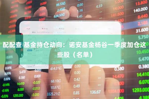 配配查 基金持仓动向：诺安基金杨谷一季度加仓这些股（名单）