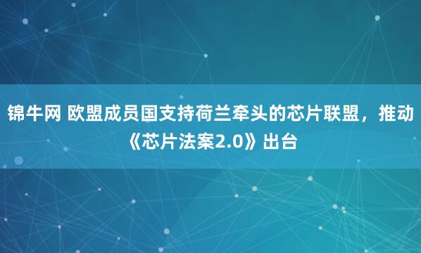 锦牛网 欧盟成员国支持荷兰牵头的芯片联盟，推动《芯片法案2.0》出台