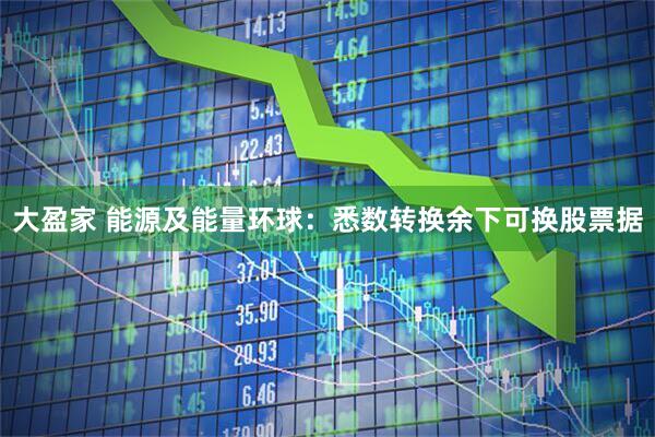大盈家 能源及能量环球：悉数转换余下可换股票据