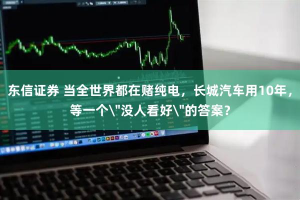 东信证券 当全世界都在赌纯电，长城汽车用10年，等一个＂没人看好＂的答案？