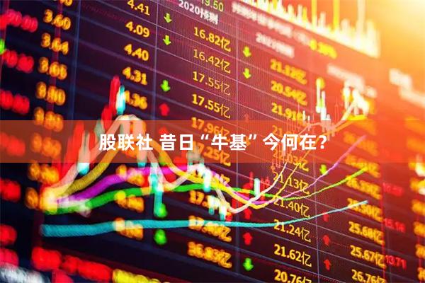 股联社 昔日“牛基”今何在？