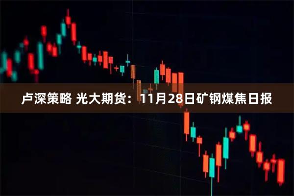 卢深策略 光大期货：11月28日矿钢煤焦日报
