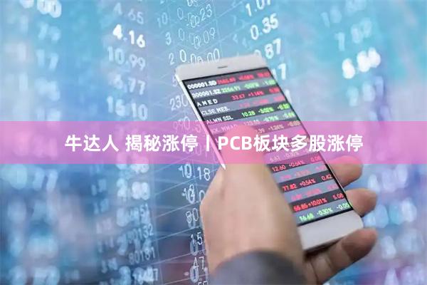 牛达人 揭秘涨停丨PCB板块多股涨停