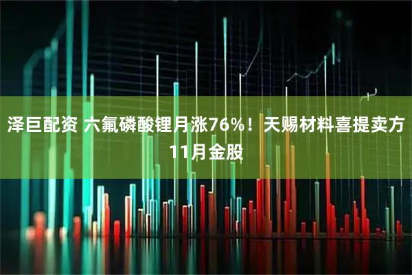 泽巨配资 六氟磷酸锂月涨76%！天赐材料喜提卖方11月金股