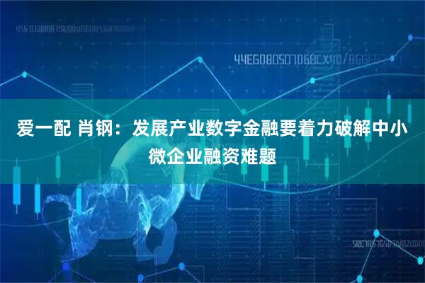 爱一配 肖钢：发展产业数字金融要着力破解中小微企业融资难题