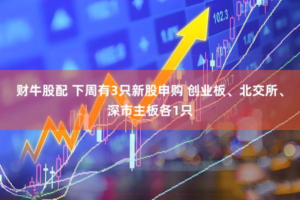 财牛股配 下周有3只新股申购 创业板、北交所、深市主板各1只